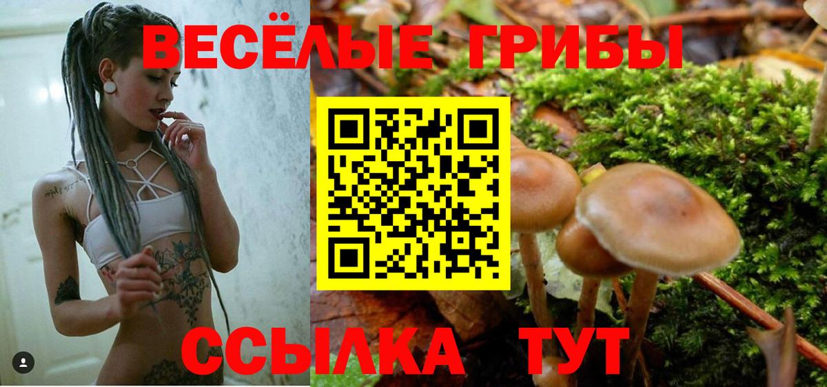 Галлюциногенные грибы MAGIC MUSHROOMS  Вход с VPN  Саяногорск  Псилоцибиновые грибы Magic Shrooms 